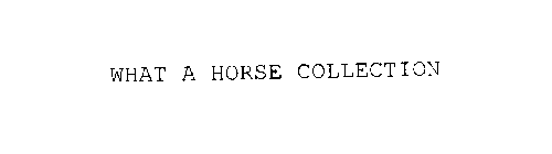 WHAT A HORSE COLLECTION