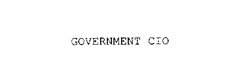 GOVERNMENT CIO