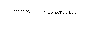 VIGOBYTE INTERNATIONAL