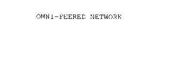 OMNI-PEERED NETWORK