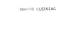 SPRING CLEANING