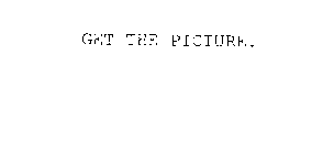 GET THE PICTURE.