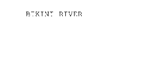 BIKINI RIVER