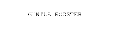 GENTLE ROOSTER