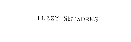 FUZZY NETWORKS