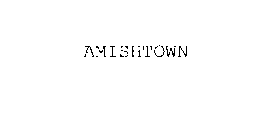 AMISHTOWN