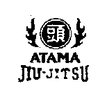 ATAMA JIU-JITSU