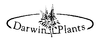 DARWIN PLANTS