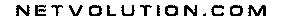 NETVOLUTION.COM