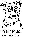 THE ROGUE WWW.ROGUEGLASS.COM