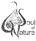SOUL OF NATURE