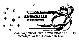 SNOWBALLS EXPRESS SHIPPING REAL UTAH SNOWBALLS OVERNIGHT IN THE CONTINENTAL U.S.