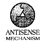 ANTISENSE MECHANISM