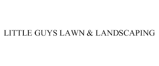 LITTLE GUYS LAWN & LANDSCAPING