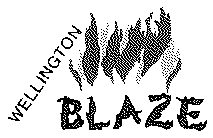 THE WELLINGTON BLAZE