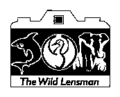 THE WILD LENSMAN