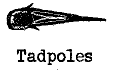 TADPOLES