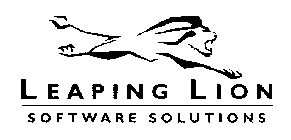 LEAPING LION SOFTWARE SOLUTIONS