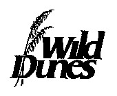 WILD DUNES