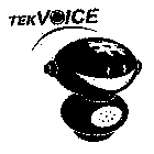 TEKVOICE