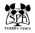 THE SPA TORREY PINES