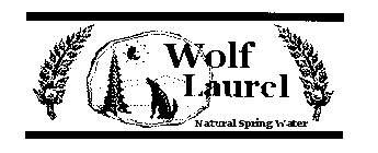 WOLF LAUREL NATURAL SPRING WATER