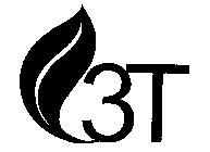 3T