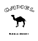 CAMEL MAGIC BERRY