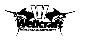 WELLCRAFT WORLD CLASS EXCITEMENT