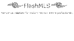 FLASHMLS INNOVATIVE SOLUTIONS FOR MODERN DAY REAL ESTATE PROFESSIONALS.