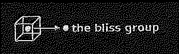 THE BLISS GROUP