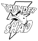 THUNDER SHAD