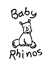 BABY RHINOS
