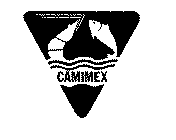CAMIMEX