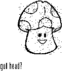 GOT HEAD?