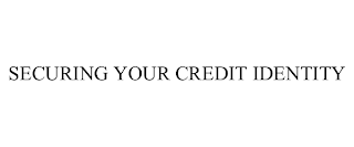 SECURING YOUR CREDIT IDENTITY