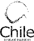 CHILE A NATURAL INSPIRATION