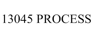 13045 PROCESS