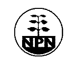 NPN