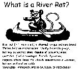WHAT IS A RIVER RAT? RIVER RAT ROB, DEFINITION OF A RIVER RAT (RI-VER RAT) N. MAMMAL, UNIQUE AND RARE BREED. THRIVES BEST ON OR NEAR WATER. USUALLY TRAVELS IN GROUPS, BUT MAY BE SPOTTED ALONE. CAPABLE