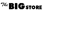 THE BIG STORE