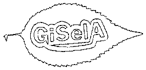 GISELA