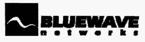 BLUEWAVE NETWORKS