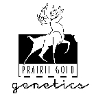 PRAIRIE GOLD GENETICS