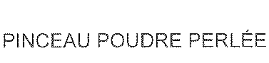 PINCEAU POUDRE PERLEE
