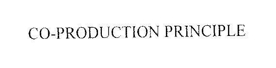 CO-PRODUCTION PRINCIPLE