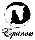 EQUINOX