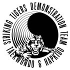 STRIKING TIGERS DEMONSTRATION TEAM TAEKWONDO & HAPKIDO