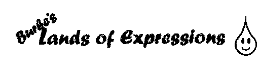 BURK'S LANDS OF EXPRESSIONS