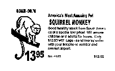 SCAM-CO.'S AMERICA'S MOST AMUSING PET SQUIRREL MONKEY GOOD HEALTHY STOCK FROM SOUTH AMERICA AT A SPECIAL LOW PRICE! WILL AMUSE CHILDREN AND ADULTS FOR HOURS.  ONLY $13.95 WITH CAGE - SEND MONEY ORDER 